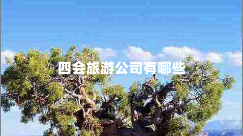 四會(huì )旅游公司有哪些