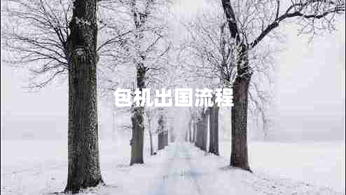 包機出國流程