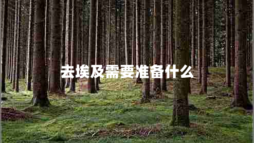 去埃及需要準備什么