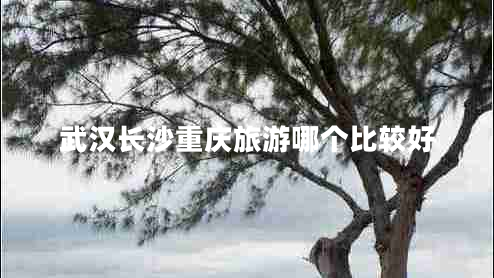 武漢長(cháng)沙重慶旅游哪個(gè)比較好