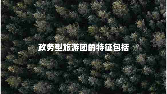 政務(wù)型旅游團的特征包括
