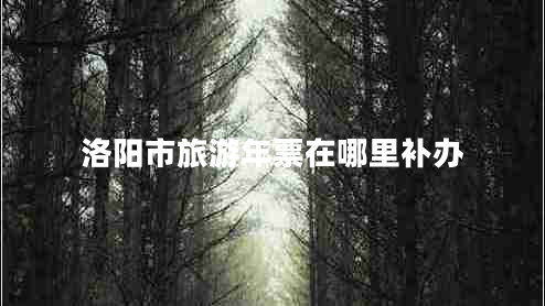 洛陽(yáng)市旅游年票在哪里補辦