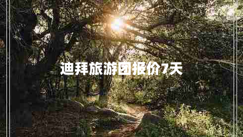 迪拜旅游團報價(jià)7天