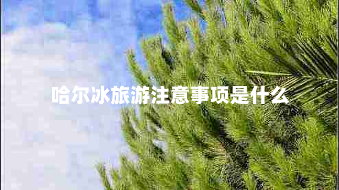 哈爾冰旅游注意事項是什么