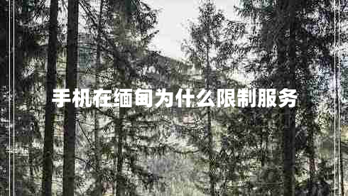 手機在緬甸為什么限制服務(wù)