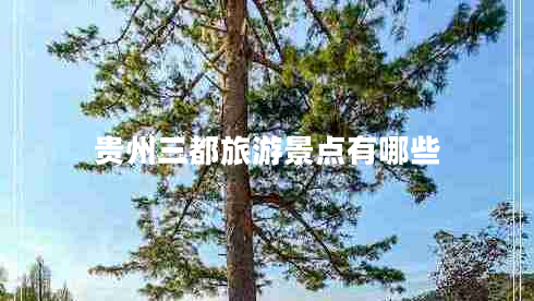 貴州三都旅游景點(diǎn)有哪些