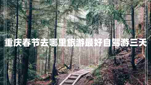 重慶春節去哪里旅游最好自駕游三天