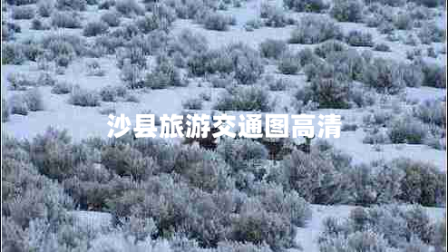 沙縣旅游交通圖高清