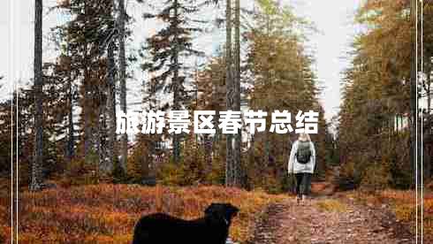 旅游景區春節總結