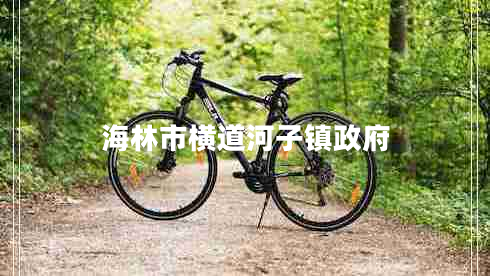 海林市橫道河子鎮政府