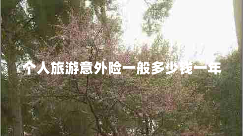個(gè)人旅游意外險一般多少錢(qián)一年