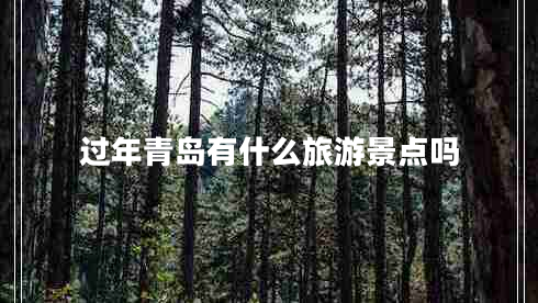 過(guò)年青島有什么旅游景點(diǎn)嗎