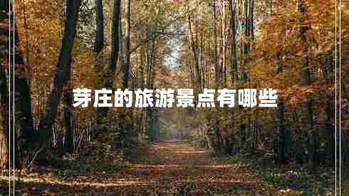 芽莊的旅游景點(diǎn)有哪些