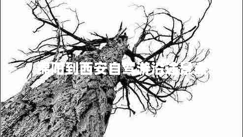 綿陽(yáng)到西安自駕游沿途景點(diǎn)