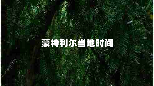 蒙特利爾當地時(shí)間