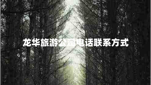 龍華旅游公司電話(huà)聯(lián)系方式