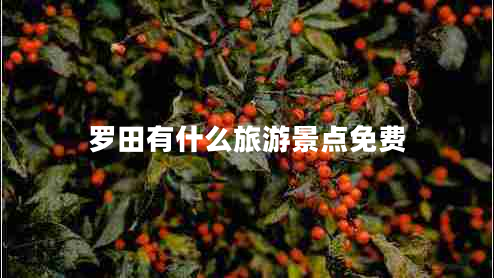 羅田有什么旅游景點(diǎn)免費