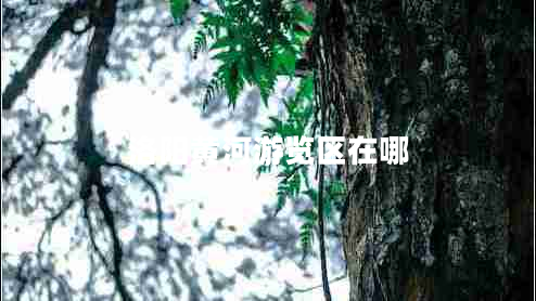 洛陽(yáng)黃河游覽區在哪