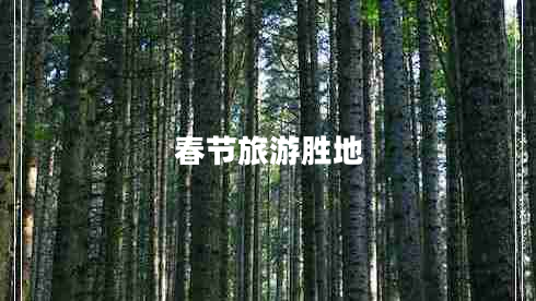 春節旅游勝地