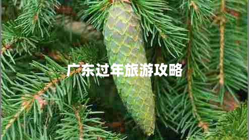 廣東過(guò)年旅游攻略