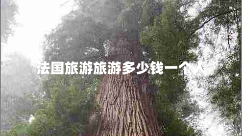 法國旅游旅游多少錢(qián)一個(gè)人
