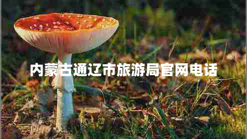 內蒙古通遼市旅游局官網(wǎng)電話(huà)