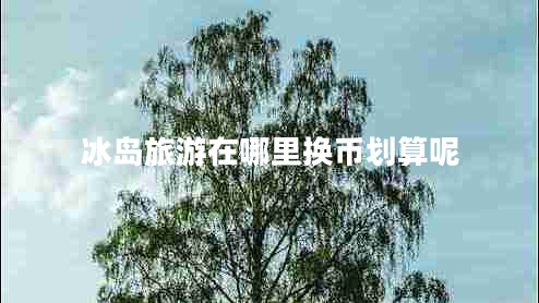 冰島旅游在哪里換幣劃算呢