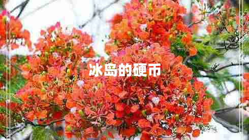 冰島的硬幣