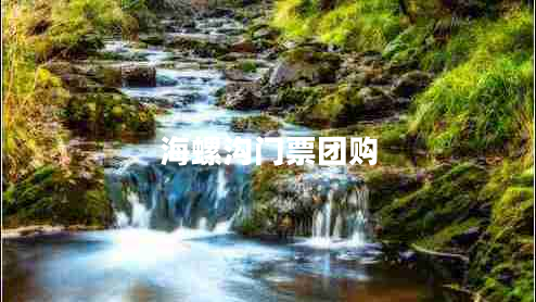 海螺溝門(mén)票團購