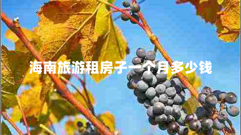 海南旅游租房子一個(gè)月多少錢(qián)