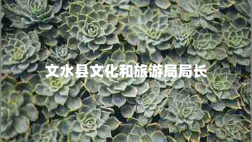 文水縣文化和旅游局局長(cháng)
