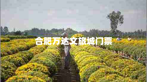 合肥萬(wàn)達文旅城門(mén)票