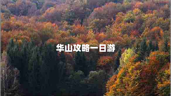 華山攻略一日游