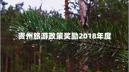 貴州旅游政策獎勵2018年度