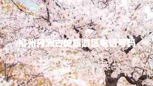 柳州丹洲古城旅游區電話(huà)號碼