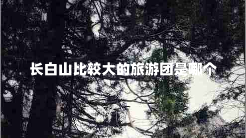 長(cháng)白山比較大的旅游團是哪個(gè)