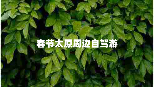 春節太原周邊自駕游