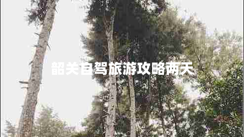 韶關(guān)自駕旅游攻略?xún)商? title=
