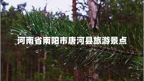 河南省南陽(yáng)市唐河縣旅游景點(diǎn)