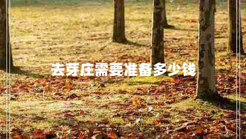 去芽莊需要準備多少錢(qián)