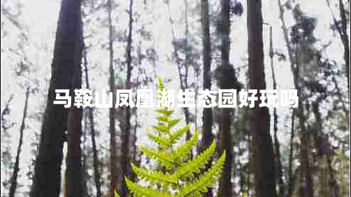 馬鞍山鳳凰湖生態(tài)園好玩嗎