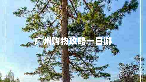 廣州購物攻略一日游