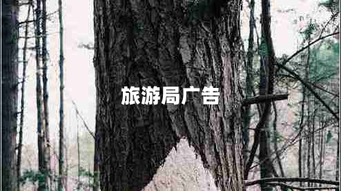 旅游局廣告