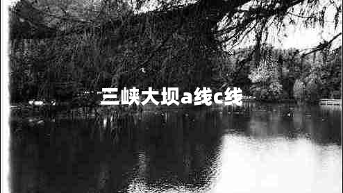 三峽大壩a線(xiàn)c線(xiàn)