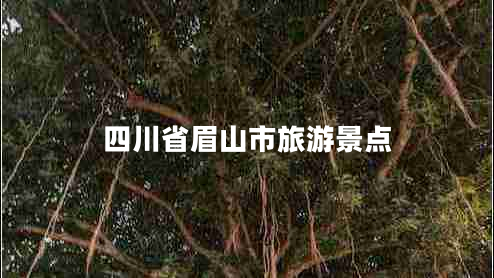 四川省眉山市旅游景點(diǎn)