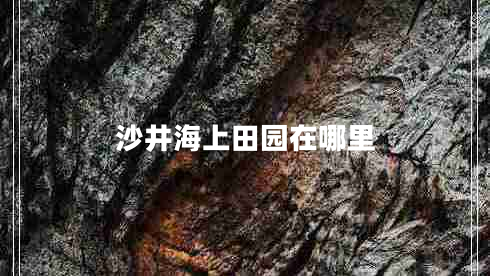 沙井海上田園在哪里