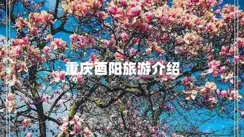 重慶酉陽(yáng)旅游介紹