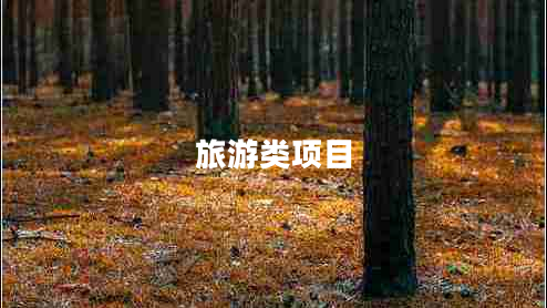 旅游類(lèi)項目