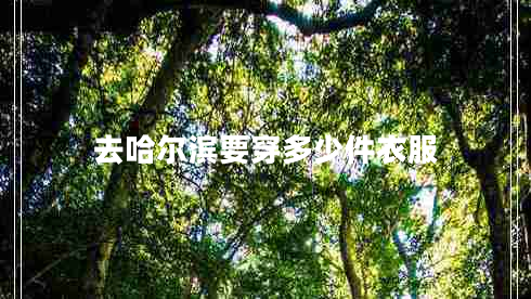 去哈爾濱要穿多少件衣服