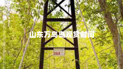 山東萬(wàn)鳥(niǎo)島觀(guān)賞時(shí)間